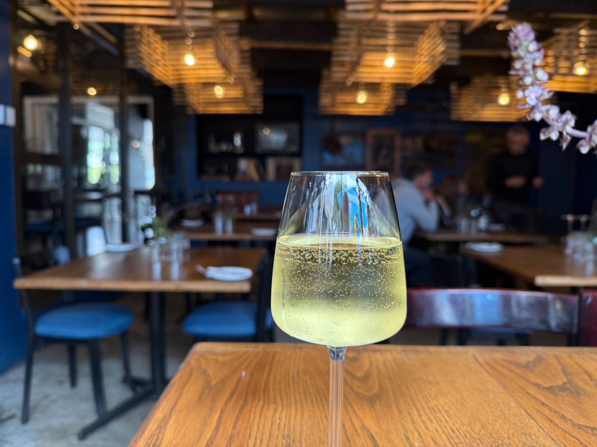Wine being poured