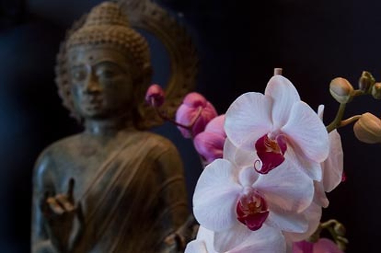 Buddha and orchid